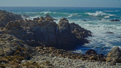 Kathleen Dunphy: Basic Edition - Essential Plein Air Exercises