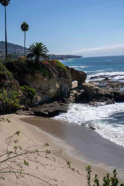 Brienne Brown: Seascapes in Oil & Watercolor