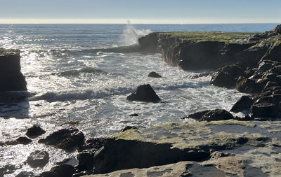 Scott Hamill: Crashing Waves & Bold Strokes - Master Dynamic Seascapes in Oil