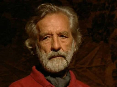 Richard Schmid: The Captain's Portrait