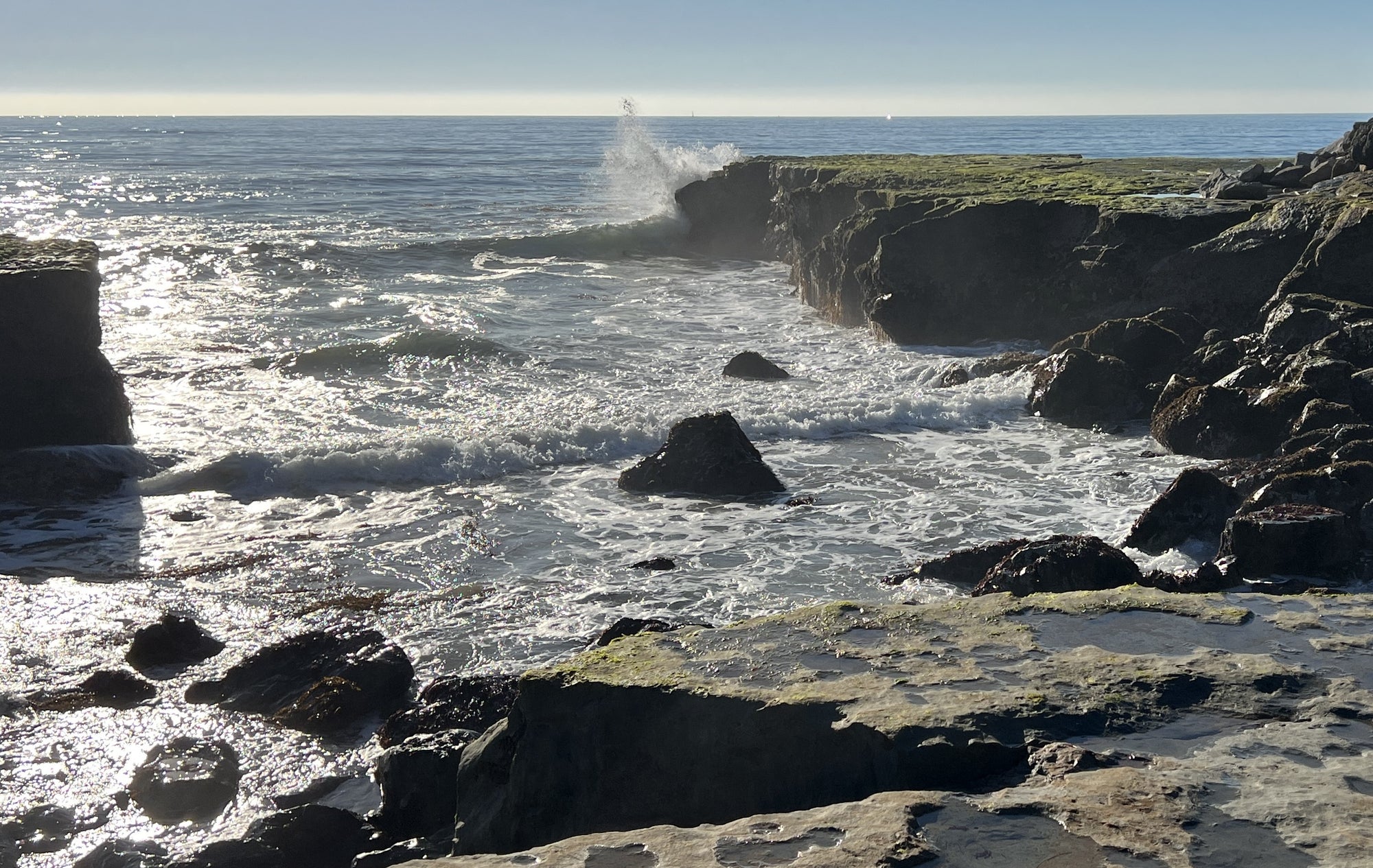 Scott Hamill: Crashing Waves & Bold Strokes - Master Dynamic Seascapes in Oil