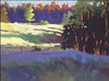 Mark Mehaffey: Paint Acrylic Landscapes - Understanding Sun & Shadow