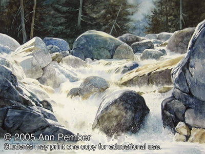 Ann Pember: Painting in the Flow of Watercolor On High Plate Illustration Board