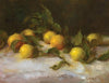 Stephanie Birdsall: Lemons and Leaves