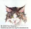 Pat Weaver: Animal Portraits in Watermedia