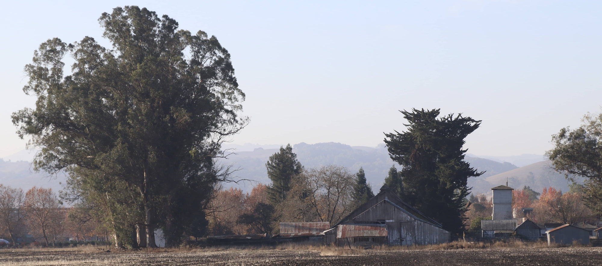 Paul Kratter: Mastering Landscapes