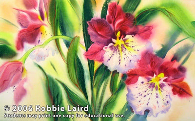 Robbie Laird: Flowing Florals - The Informed, Intuitive Approach