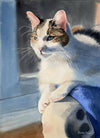 Shelley Prior: Pet Portraits in Watercolor