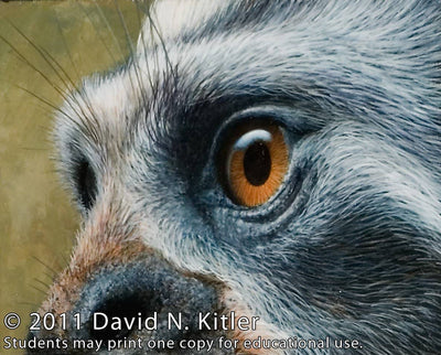 David N. Kitler: Painting Nature's Textures in Acrylic