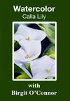 Birgit O'Connor: Watercolor Calla Lily