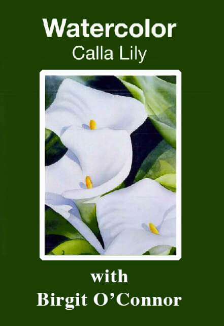 Birgit O'Connor: Watercolor Calla Lily